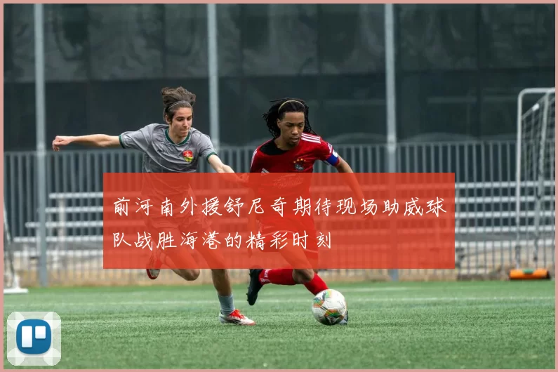 前河南外援舒尼奇期待现场助威球队战胜海港的精彩时刻